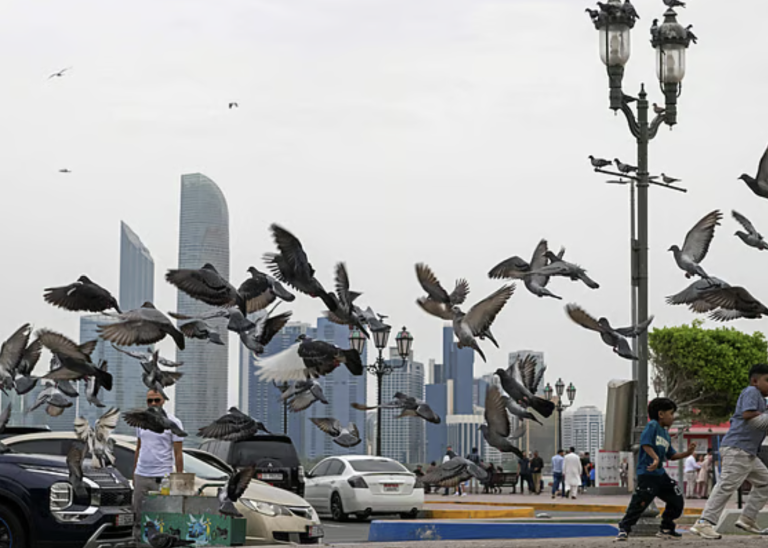 Abu Dhabi holiday homes must now display licence numbers on online listings